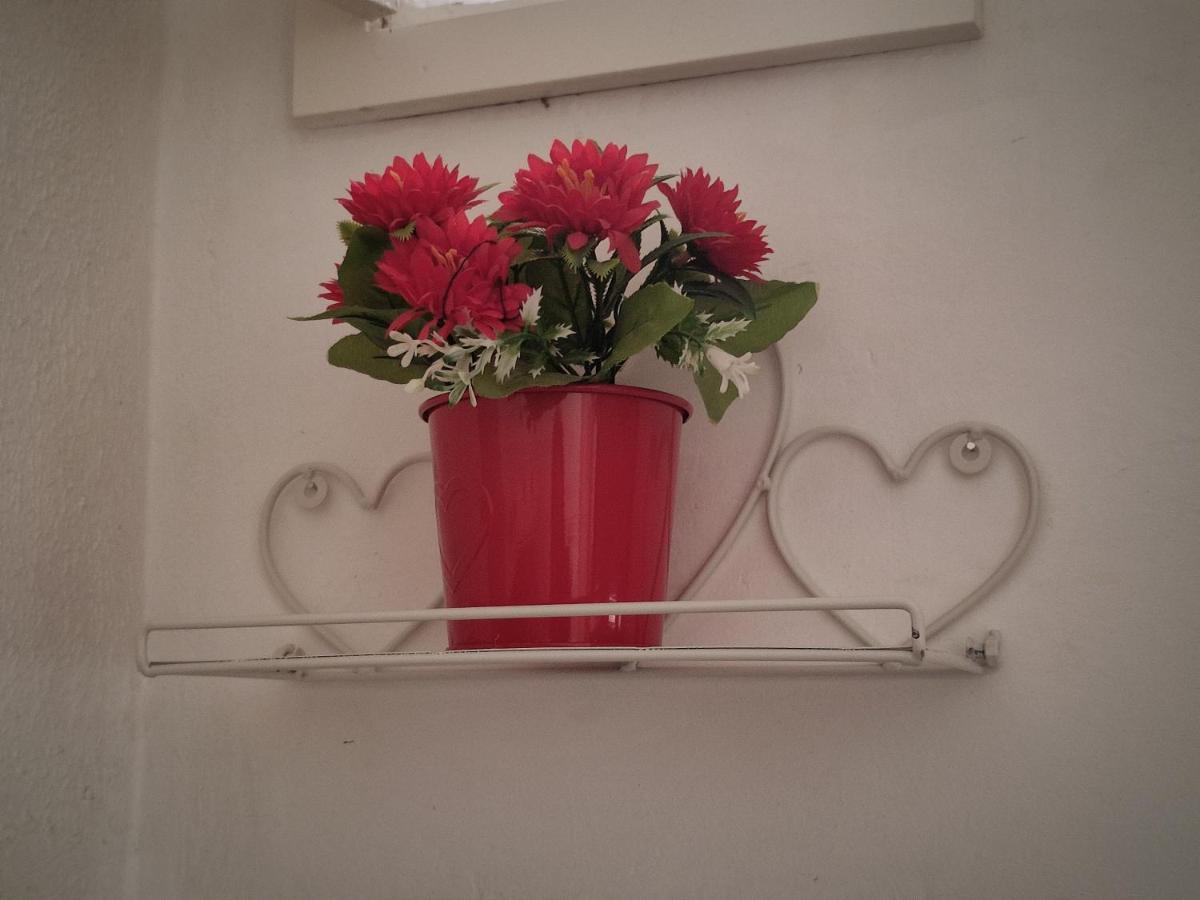 Flower 11 Apartment Bari Exterior photo